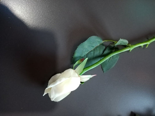 Job Lot 28 x Real Touch Cream Bud Roses, White Artificial Flowers plus loose Leaves(not attached) . Ideal for Button Holes, Corsages. Faux Flowers, Wedding Flowers