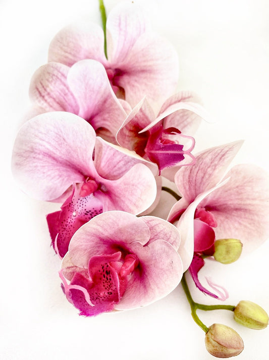 Artificial Orchid Flower, Real Touch Orchids, Variegated Pink Orchid Stem, Phalaenopsis Orchid Flower Artificial Flowers Pink Flowers, Gift for Her