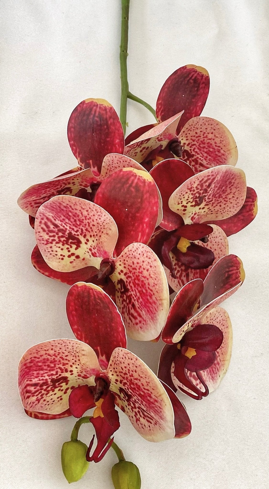 Artificial Orchid Flower, Gift for Her, Red Spotted Orchid Stem, Orchid Plant Leaves, Orchid Artificial Flowers Red Flowers for Flower Arranging