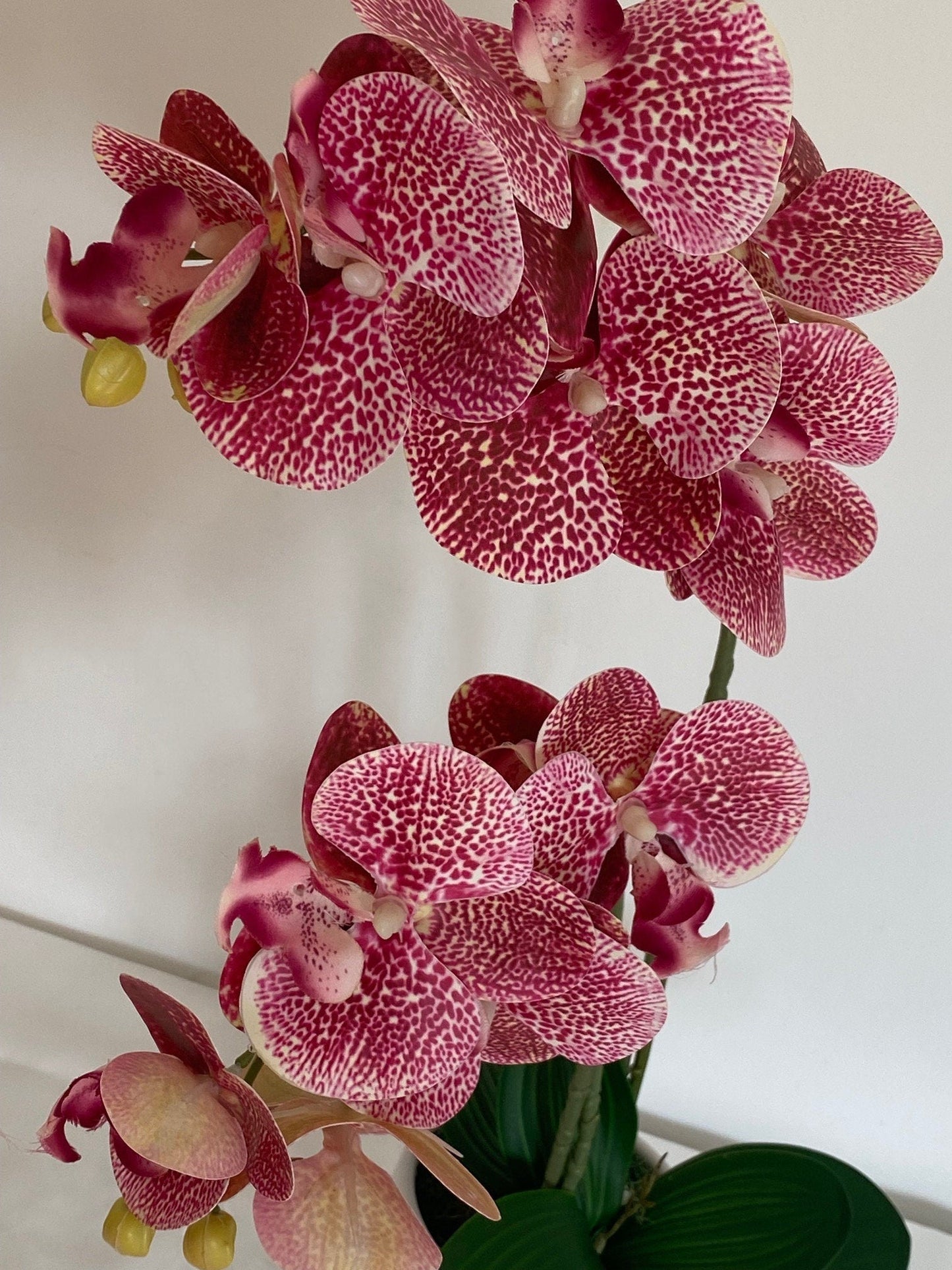 Artificial Orchid Plant, Gift for Her, Real Look Orchids, Spotted Pink Orchid Pot Plant, Phalaenopsis, Artificial Flowers, Faux Orchid