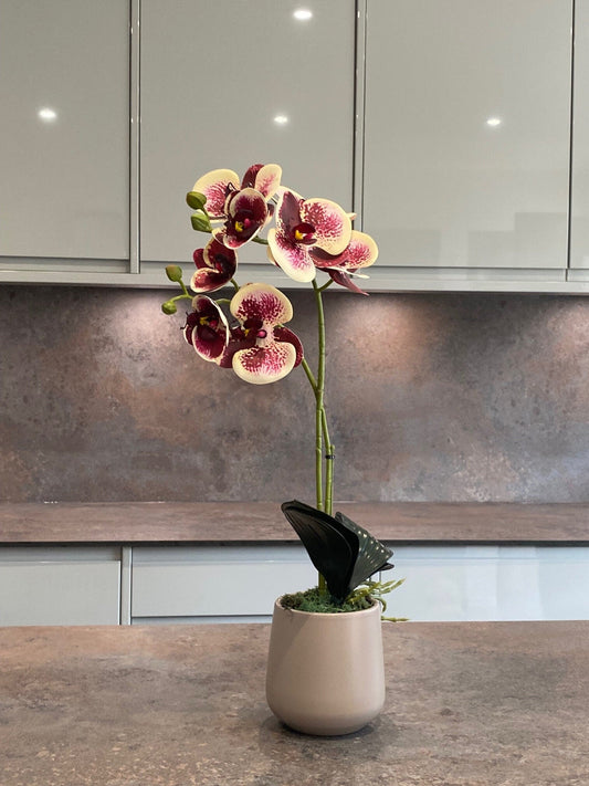 Artificial Orchid Plant, Gift for Her, Real Look Orchids, Spotted Red Orchid Pot Plant, Phalaenopsis, Artificial Flowers, Faux Orchid