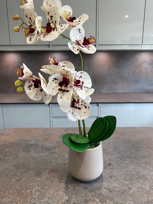 Artificial Orchid Plant, Gift for Her, Real Look Orchids, White Spotted Orchid Pot Plant, Phalaenopsis, Artificial Flowers, Faux Orchid