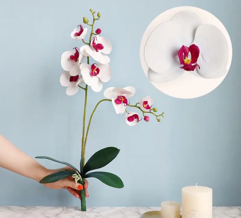 Artificial White & Pink Orchid, Orchid Plant, Orchid Flowers and Leaves for Orchid Plant, White Flowers Gift for Her Real Look Faux
