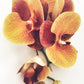 Artificial Orange Orchid Stem, Orange Orchid Flower, Flowers Gift for Her, Real Touch Orchids, Faux Orchid Flowers, Wedding Flowers, Artificial Flowers