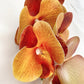 Artificial Orange Orchid Stem, Orange Orchid Flower, Flowers Gift for Her, Real Touch Orchids, Faux Orchid Flowers, Wedding Flowers, Artificial Flowers