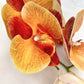 Artificial Orange Orchid Stem, Orange Orchid Flower, Flowers Gift for Her, Real Touch Orchids, Faux Orchid Flowers, Wedding Flowers, Artificial Flowers