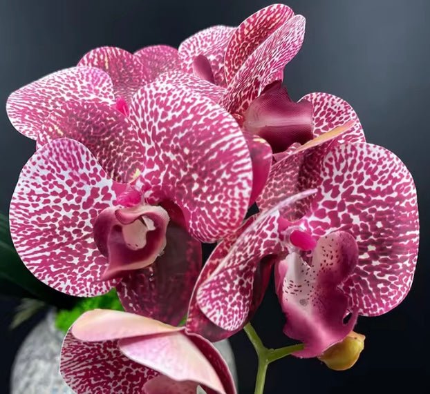 Kunstig orkideblomst gave til henne, ekte orkideer, mørk rosa flekkete orkidestilk, kunstige blomster, rosa blomster, imitert orkideblomst