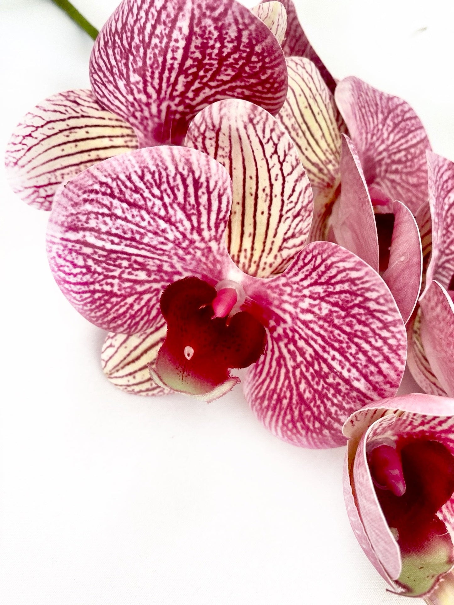 Artificial Orchid Flower, Gift for Her, Real Look Orchids, Pink Striped Orchid Stem, Phalaenopsis, Artificial Faux Orchid Flower