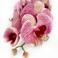 Artificial Orchid Flower, Gift for Her, Real Look Orchids, Pink Striped Orchid Stem, Phalaenopsis, Artificial Faux Orchid Flower
