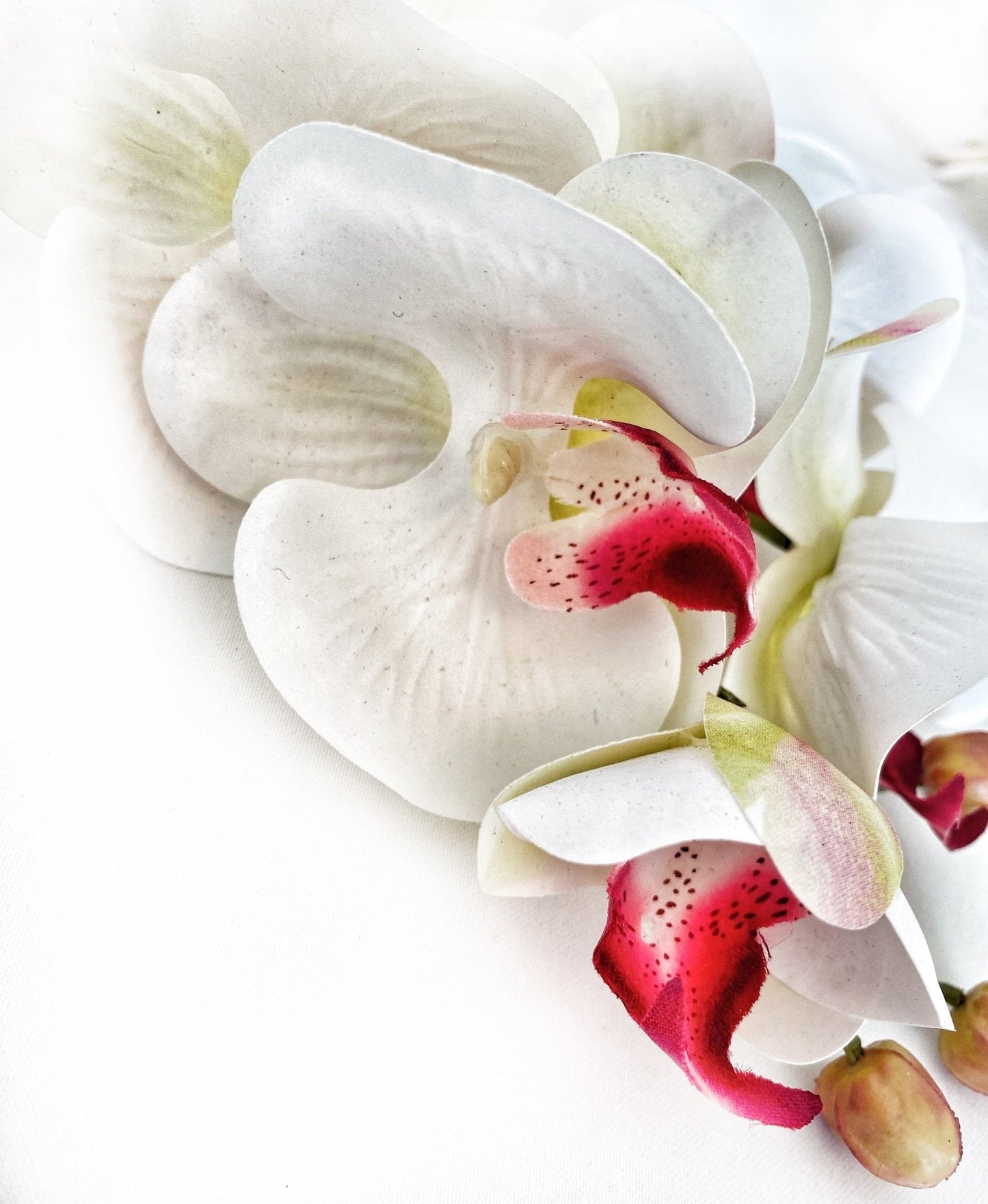 Kunstig orkideblomst gave til henne, ekte orkideer, hvit og rosa orkidestilk, phalaenopsis, imitert orkide, kunstige hvite blomster