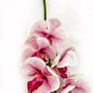 Artificial Orchid Flower, Real Touch Orchids, Variegated Pink Orchid Stem, Phalaenopsis Orchid Flower Artificial Flowers Pink Flowers, Gift for Her