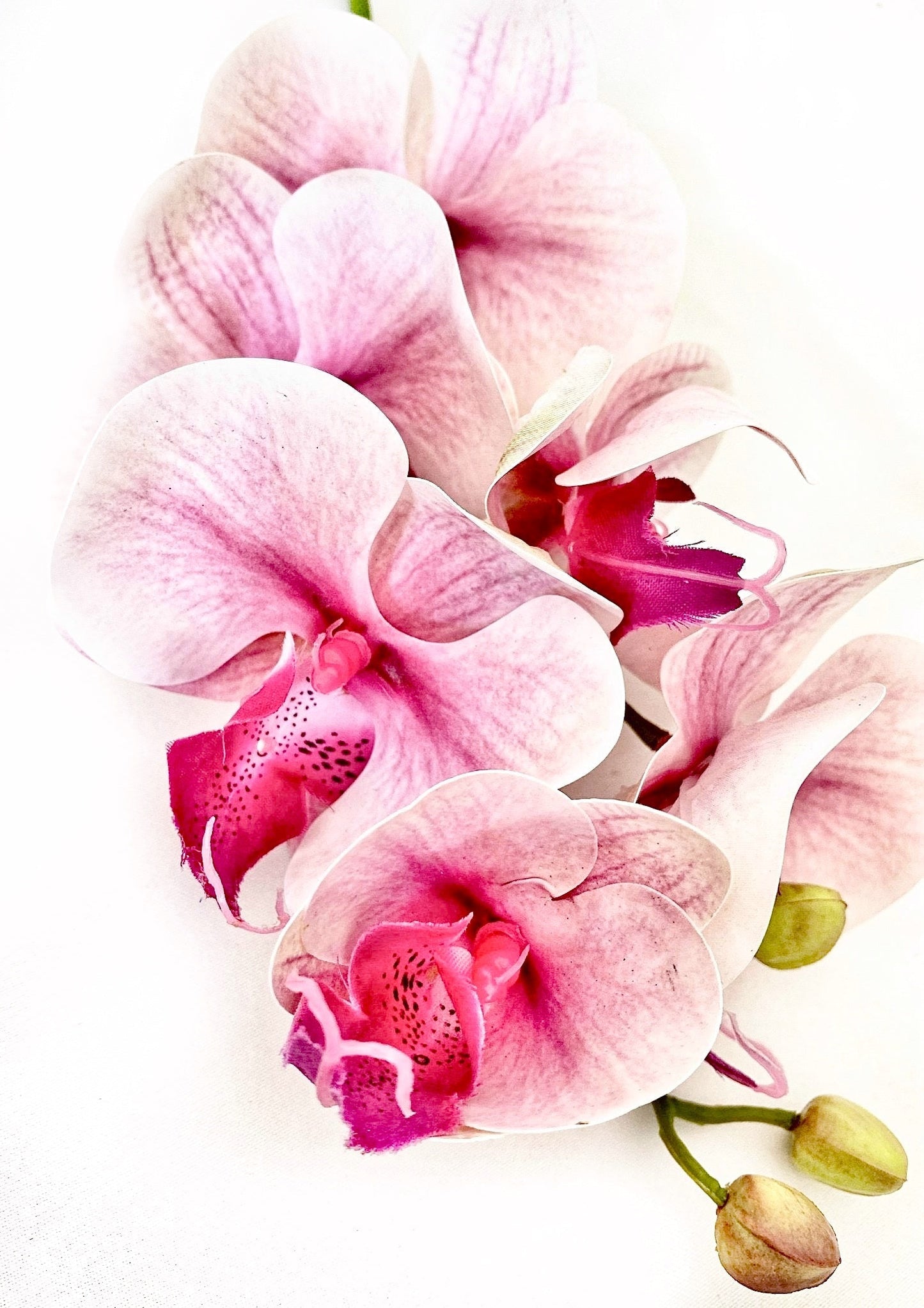 Artificial Orchid Flower, Real Touch Orchids, Variegated Pink Orchid Stem, Phalaenopsis Orchid Flower Artificial Flowers Pink Flowers, Gift for Her