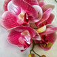 Artificial Orchid Flower Gift for Her, Real Touch Orchids, Pink Orchid Stem Phalaenopsis, Artificial Flowers Faux Orchid, Pink Flowers, Wedding