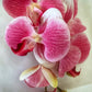 Artificial Orchid Flower Gift for Her, Real Touch Orchids, Pink Orchid Stem Phalaenopsis, Artificial Flowers Faux Orchid, Pink Flowers, Wedding