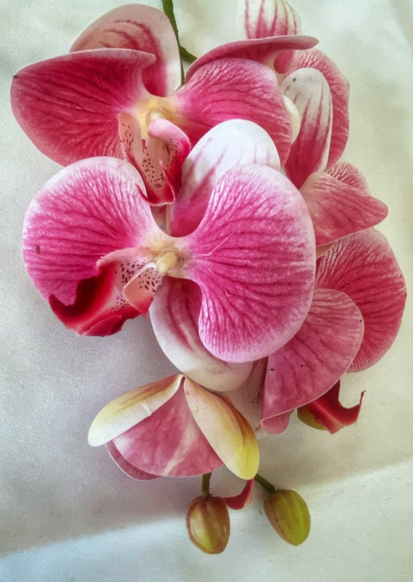 Artificial Orchid Flower Gift for Her, Real Touch Orchids, Pink Orchid Stem Phalaenopsis, Artificial Flowers Faux Orchid, Pink Flowers, Wedding