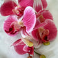 Artificial Orchid Flower Gift for Her, Real Touch Orchids, Pink Orchid Stem Phalaenopsis, Artificial Flowers Faux Orchid, Pink Flowers, Wedding