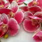 Artificial Orchid Flower Gift for Her, Real Touch Orchids, Pink Orchid Stem Phalaenopsis, Artificial Flowers Faux Orchid, Pink Flowers, Wedding
