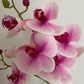 Artificial Orchid Plant, Gift for Her, Real Look Orchids, Pink Orchid Pot Plant, Phalaenopsis, Artificial Flowers, Silk, Faux Orchid
