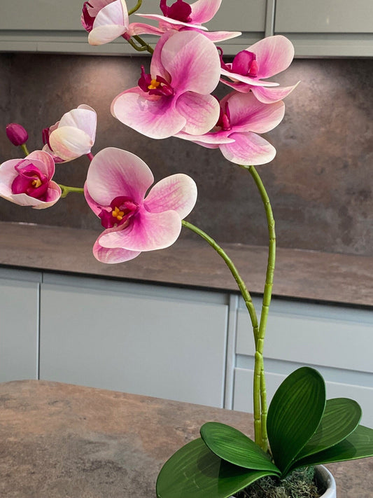 Artificial Orchid Plant, Gift for Her, Real Look Orchids, Pink Orchid Pot Plant, Phalaenopsis, Artificial Flowers, Silk, Faux Orchid