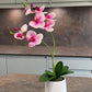 Artificial Orchid Plant, Gift for Her, Real Look Orchids, Pink Orchid Pot Plant, Phalaenopsis, Artificial Flowers, Silk, Faux Orchid