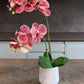 Artificial Orchid Plant, Gift for Her, Real Look Orchids, Spotted Pink Orchid Pot Plant, Phalaenopsis, Artificial Flowers, Faux Orchid