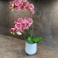 Artificial Orchid Plant, Gift for Her, Real Look Orchids, Spotted Pink Orchid Pot Plant, Phalaenopsis, Artificial Flowers, Faux Orchid