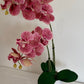 Artificial Orchid Plant, Gift for Her, Real Look Orchids, Spotted Pink Orchid Pot Plant, Phalaenopsis, Artificial Flowers, Faux Orchid