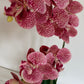 Artificial Orchid Plant, Gift for Her, Real Look Orchids, Spotted Pink Orchid Pot Plant, Phalaenopsis, Artificial Flowers, Faux Orchid