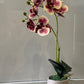 Artificial Orchid Plant, Gift for Her, Real Look Orchids, Spotted Red Orchid Pot Plant, Phalaenopsis, Artificial Flowers, Faux Orchid