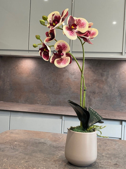 Artificial Orchid Plant, Gift for Her, Real Look Orchids, Spotted Red Orchid Pot Plant, Phalaenopsis, Artificial Flowers, Faux Orchid