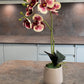 Artificial Orchid Plant, Gift for Her, Real Look Orchids, Spotted Red Orchid Pot Plant, Phalaenopsis, Artificial Flowers, Faux Orchid