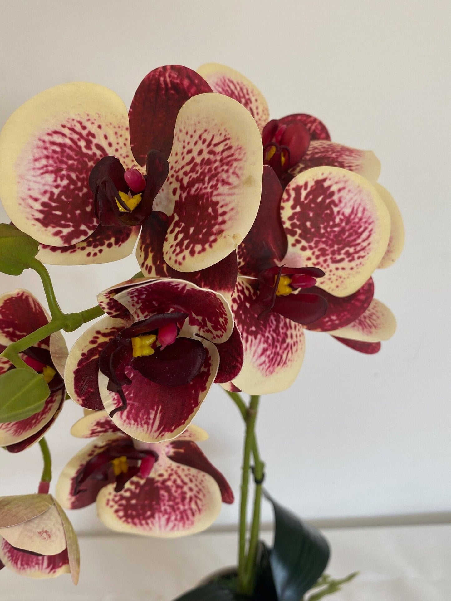 Artificial Orchid Plant, Gift for Her, Real Look Orchids, Spotted Red Orchid Pot Plant, Phalaenopsis, Artificial Flowers, Faux Orchid