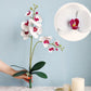 Artificial White & Pink Orchid, Orchid Plant, Orchid Flowers and Leaves for Orchid Plant, White Flowers Gift for Her Real Look Faux